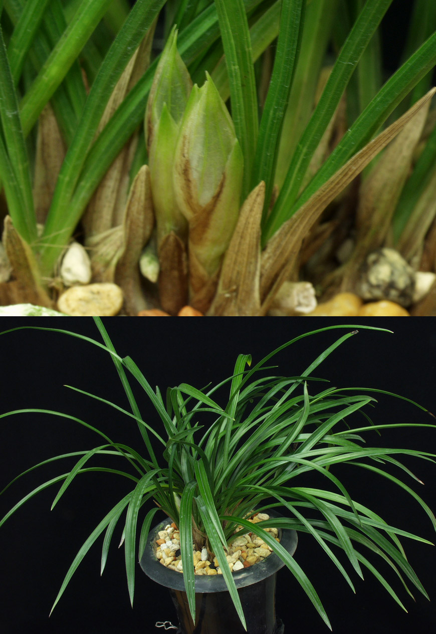 ������ ū������ �� �� �ֽ��ϴ�.