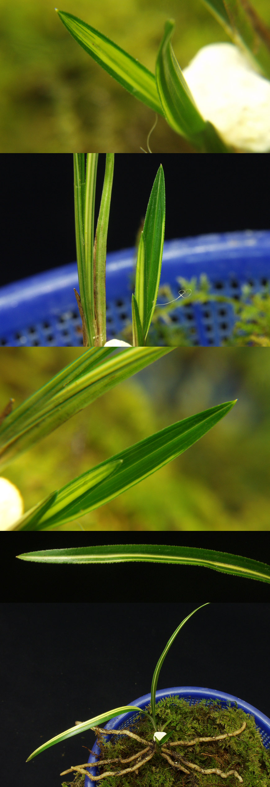 ������ ū������ �� �� �ֽ��ϴ�.