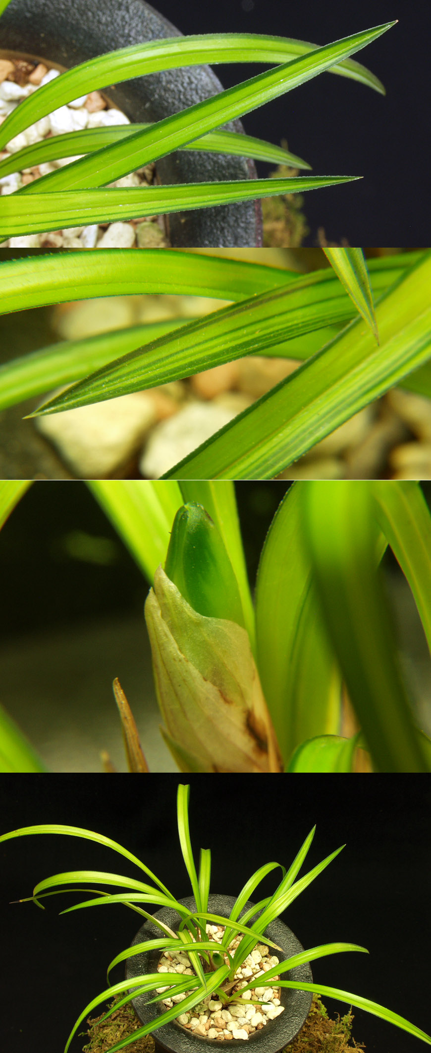 ������ ū������ �� �� �ֽ��ϴ�.