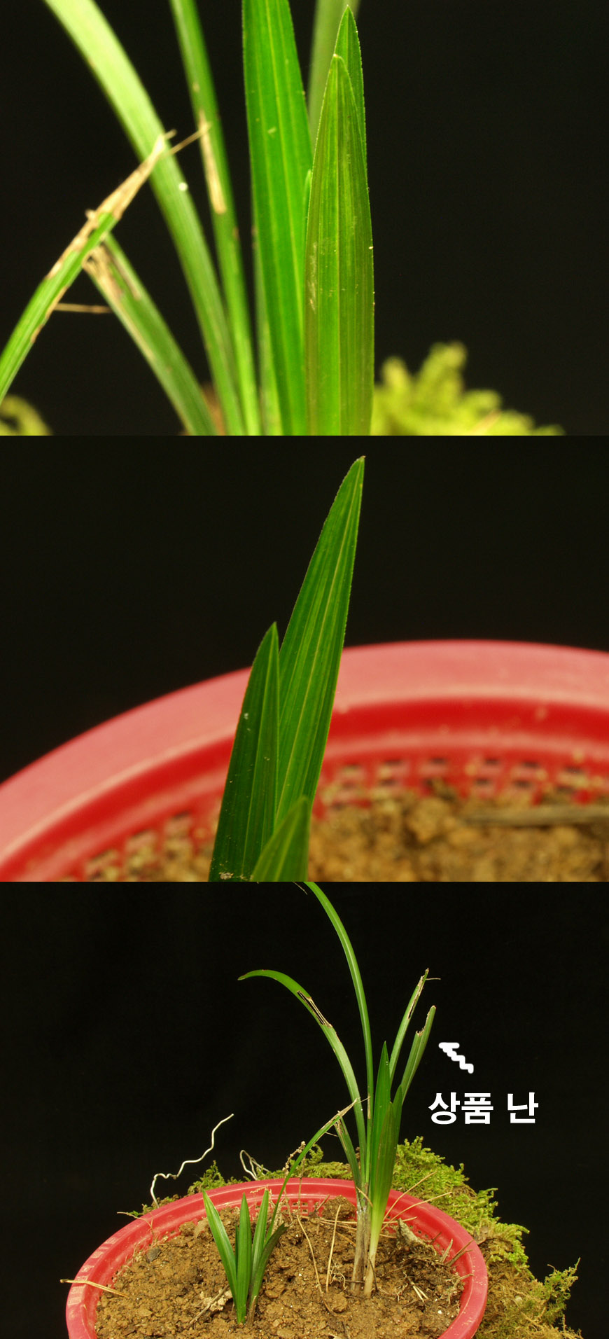 ������ ū������ �� �� �ֽ��ϴ�.