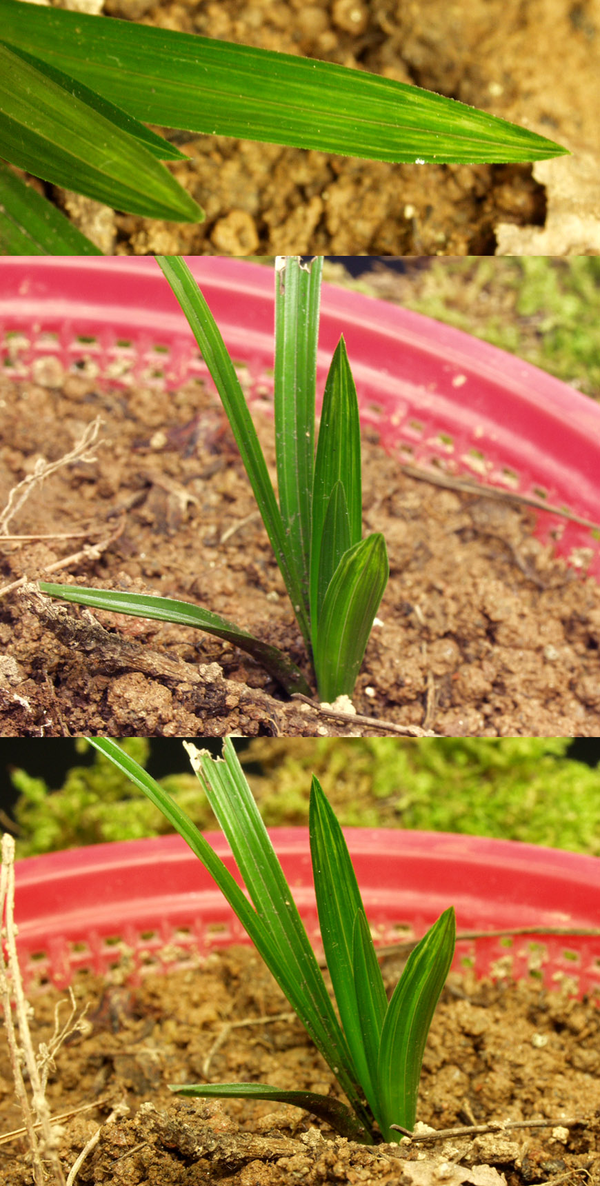 ������ ū������ �� �� �ֽ��ϴ�.