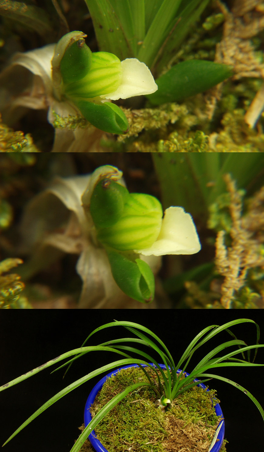 ������ ū������ �� �� �ֽ��ϴ�.