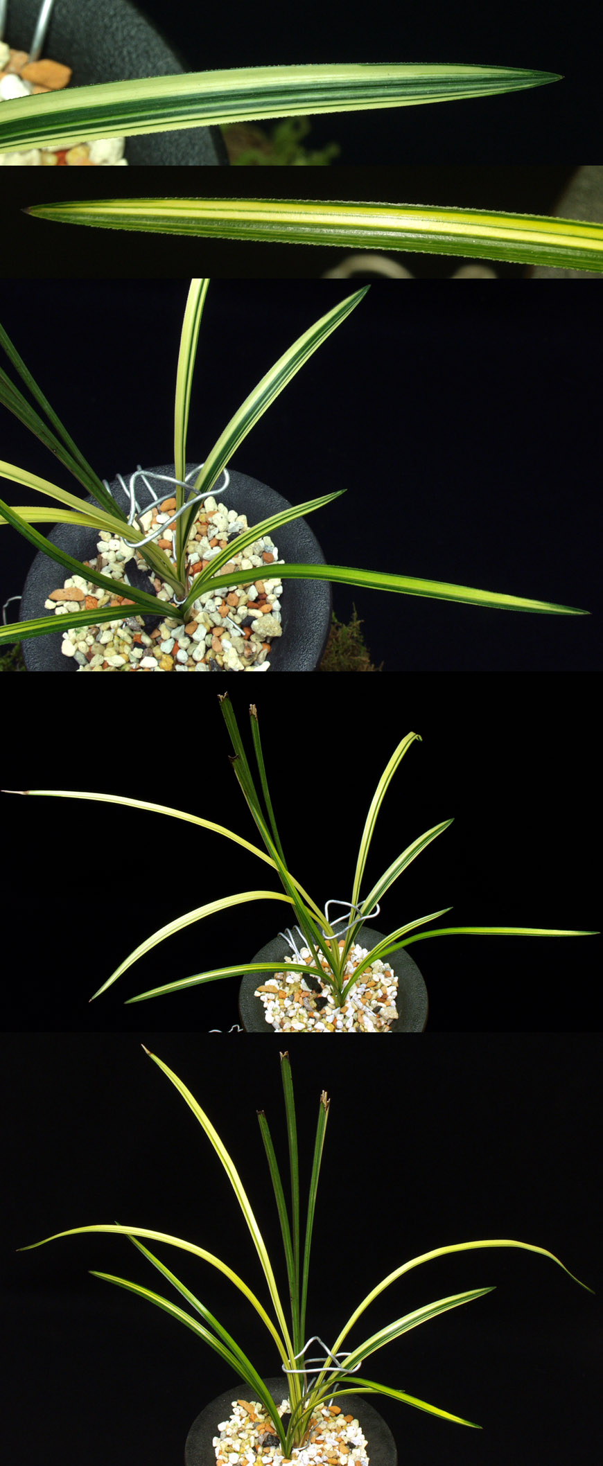 ������ ū������ �� �� �ֽ��ϴ�.