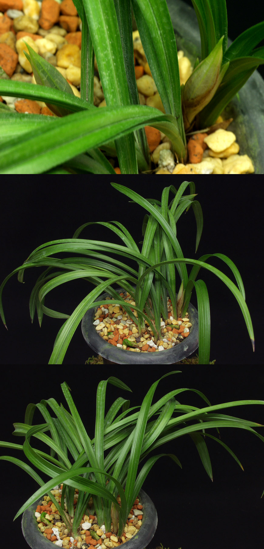 ������ ū������ �� �� �ֽ��ϴ�.