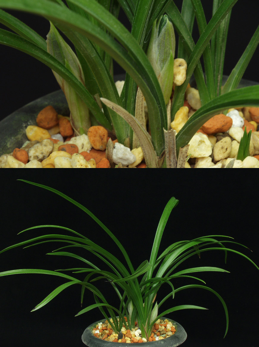 ������ ū������ �� �� �ֽ��ϴ�.