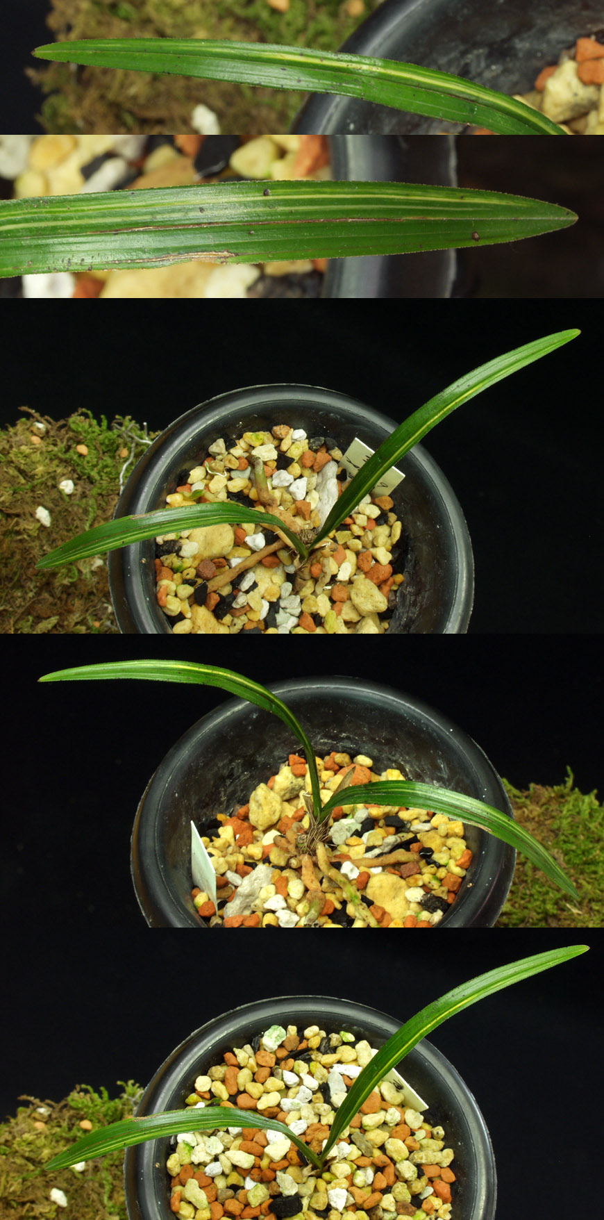 ������ ū������ �� �� �ֽ��ϴ�.