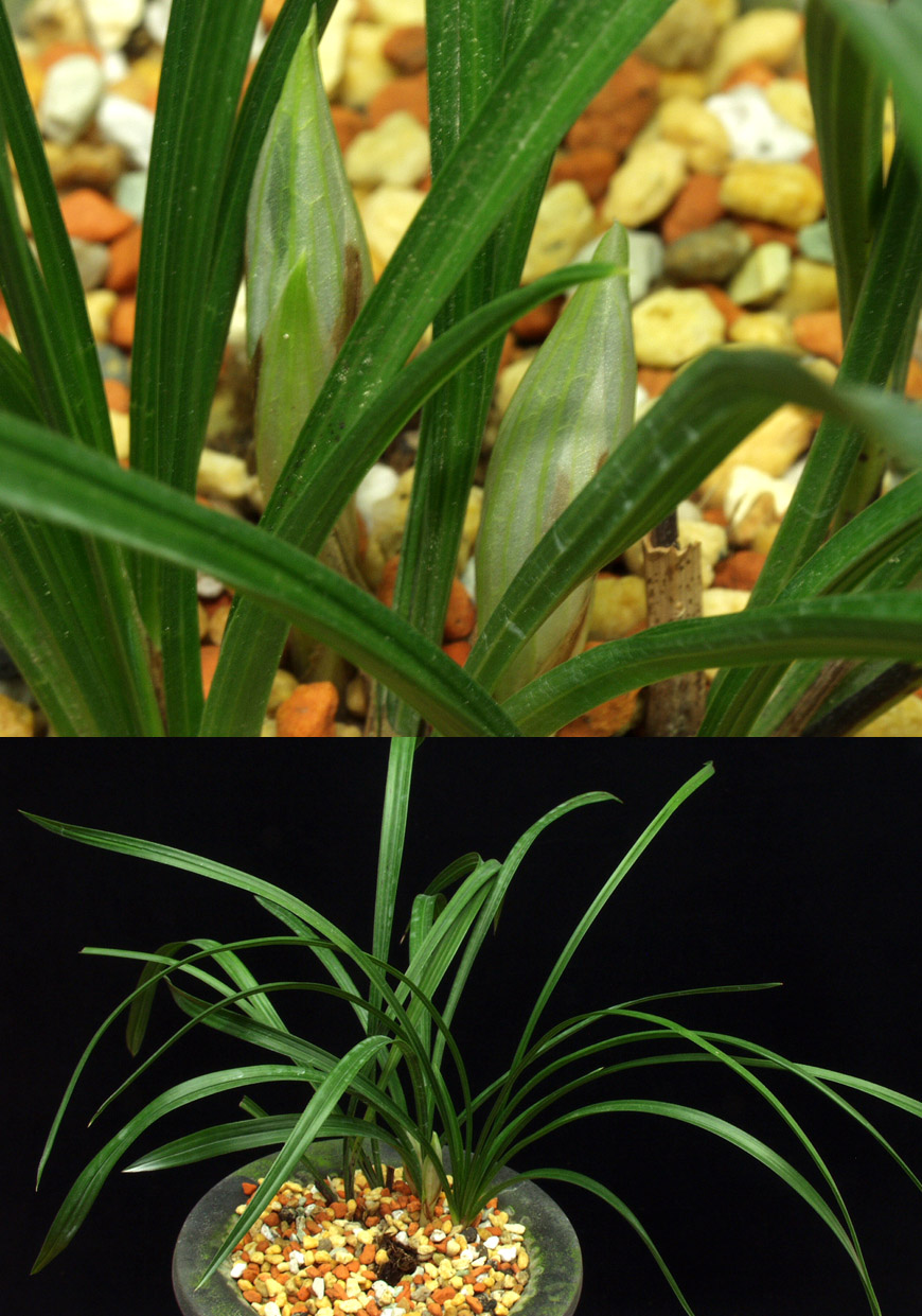 ������ ū������ �� �� �ֽ��ϴ�.