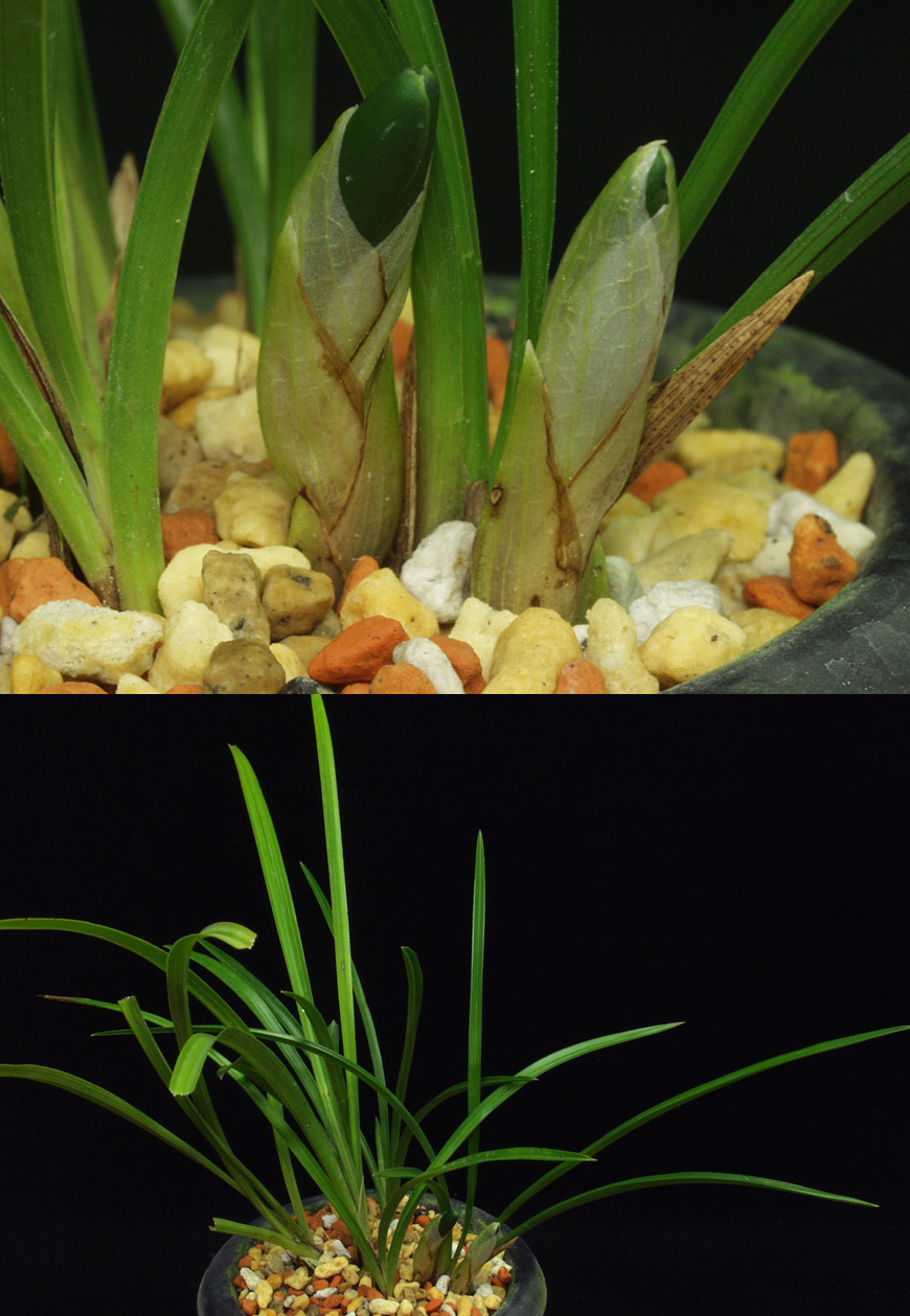 ������ ū������ �� �� �ֽ��ϴ�.