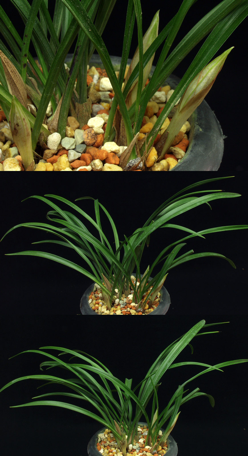 ������ ū������ �� �� �ֽ��ϴ�.