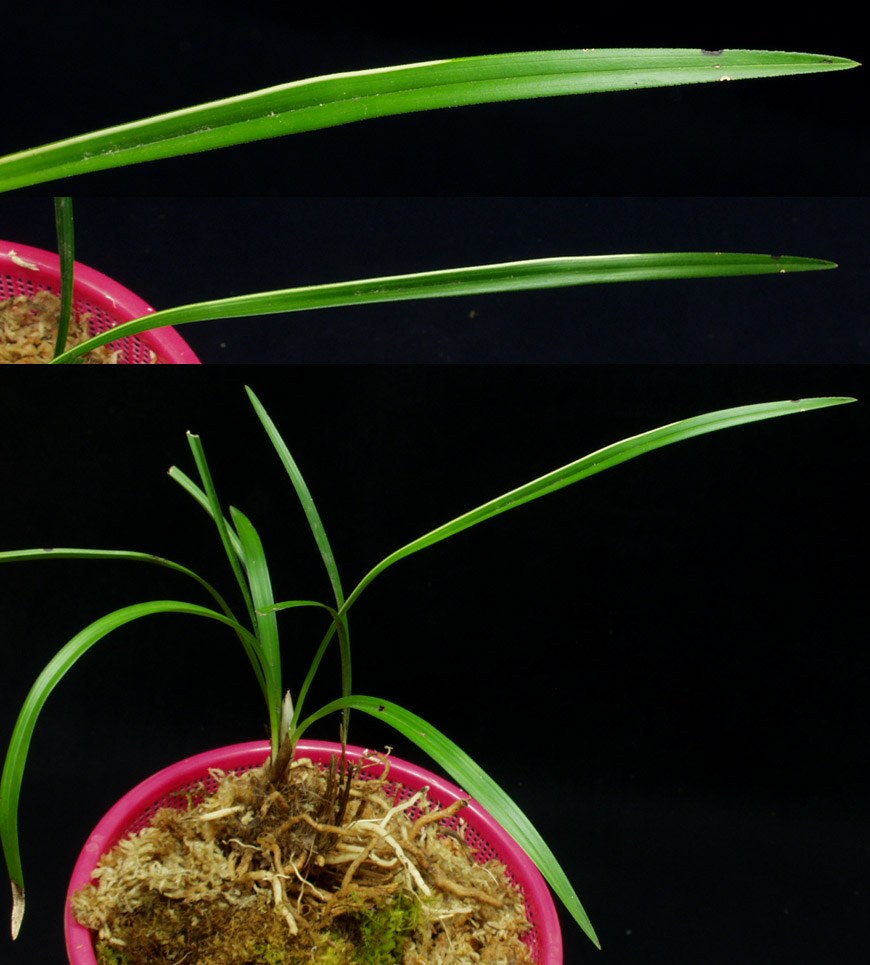 ������ ū������ �� �� �ֽ��ϴ�.