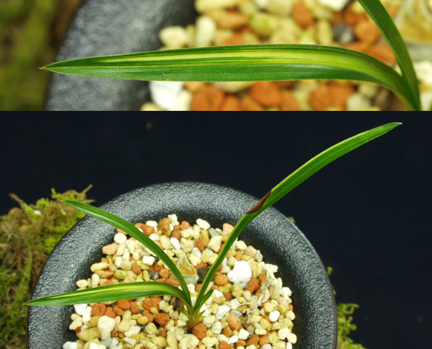 ������ ū������ �� �� �ֽ��ϴ�.