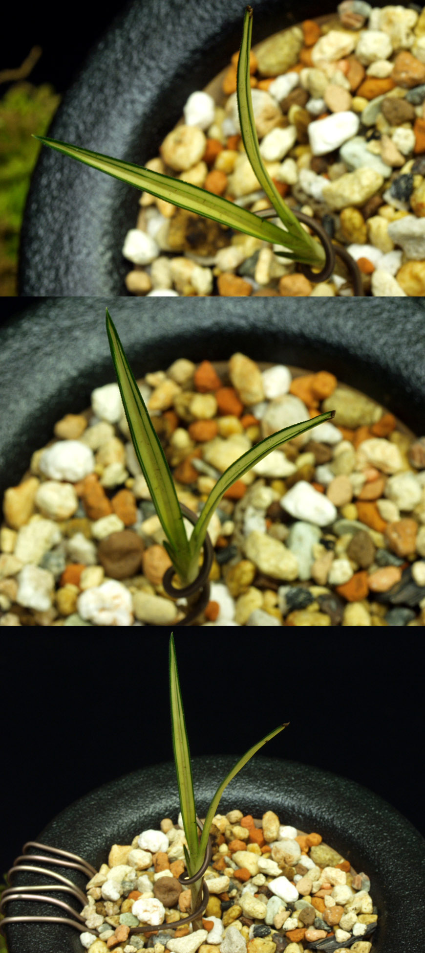 ������ ū������ �� �� �ֽ��ϴ�.