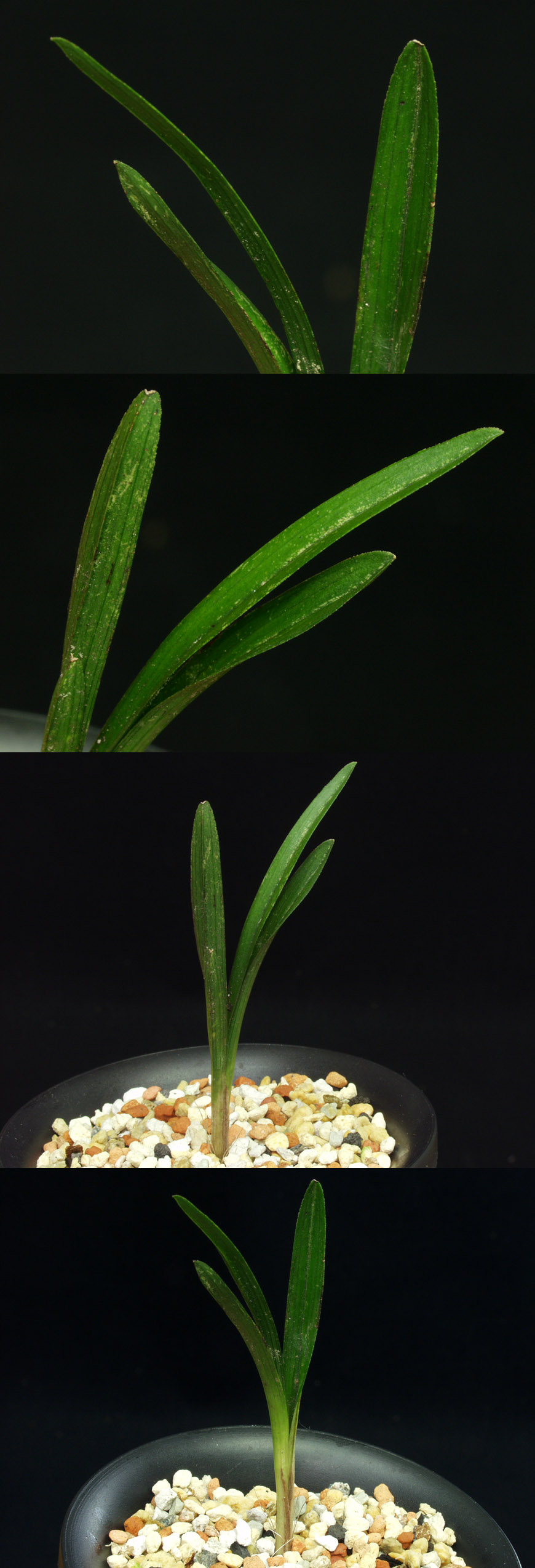 ������ ū������ �� �� �ֽ��ϴ�.