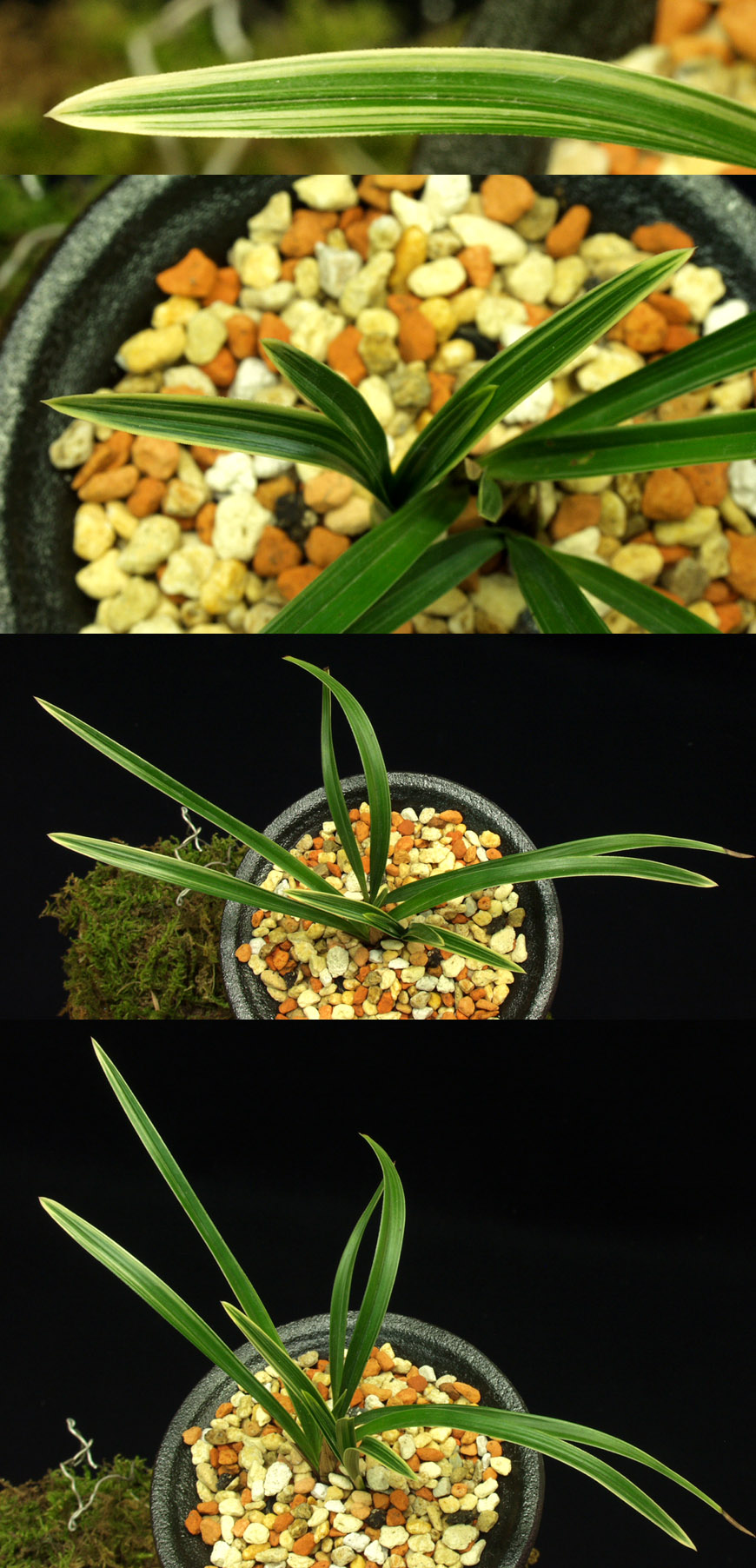 ������ ū������ �� �� �ֽ��ϴ�.