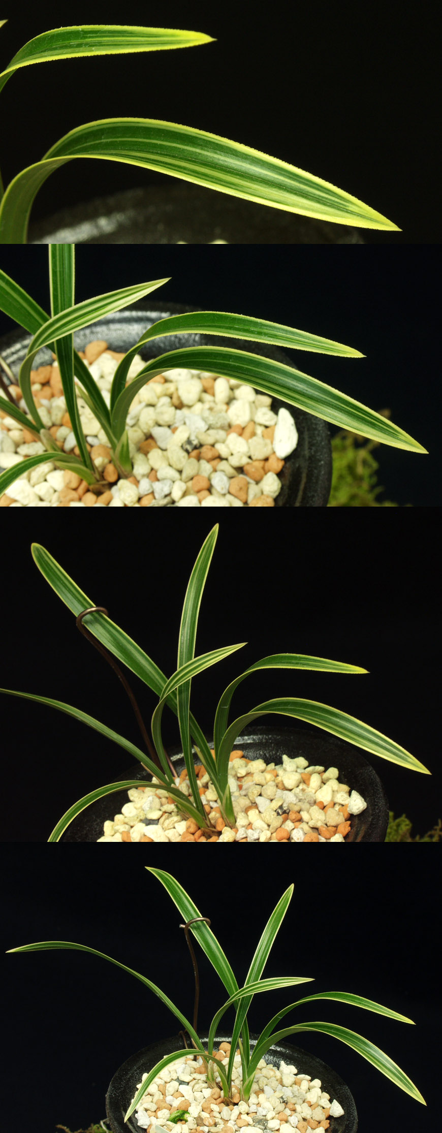 ������ ū������ �� �� �ֽ��ϴ�.