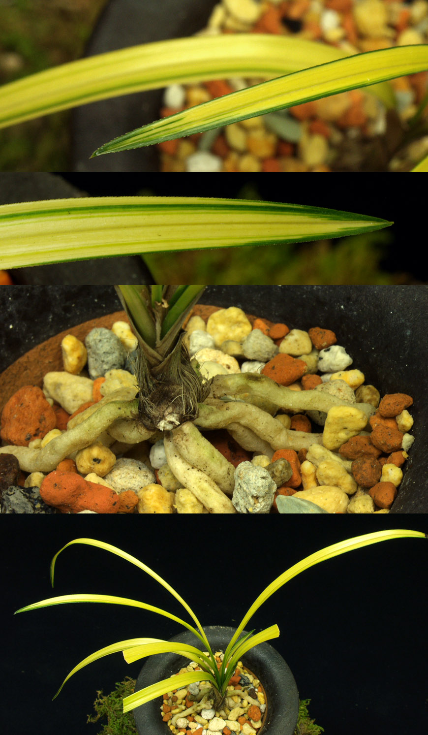 ������ ū������ �� �� �ֽ��ϴ�.