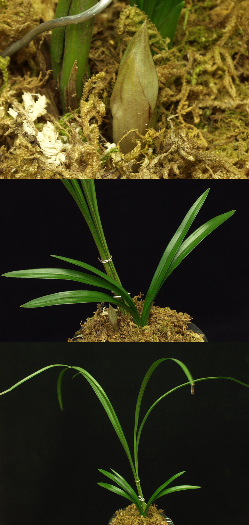 ������ ū������ �� �� �ֽ��ϴ�.