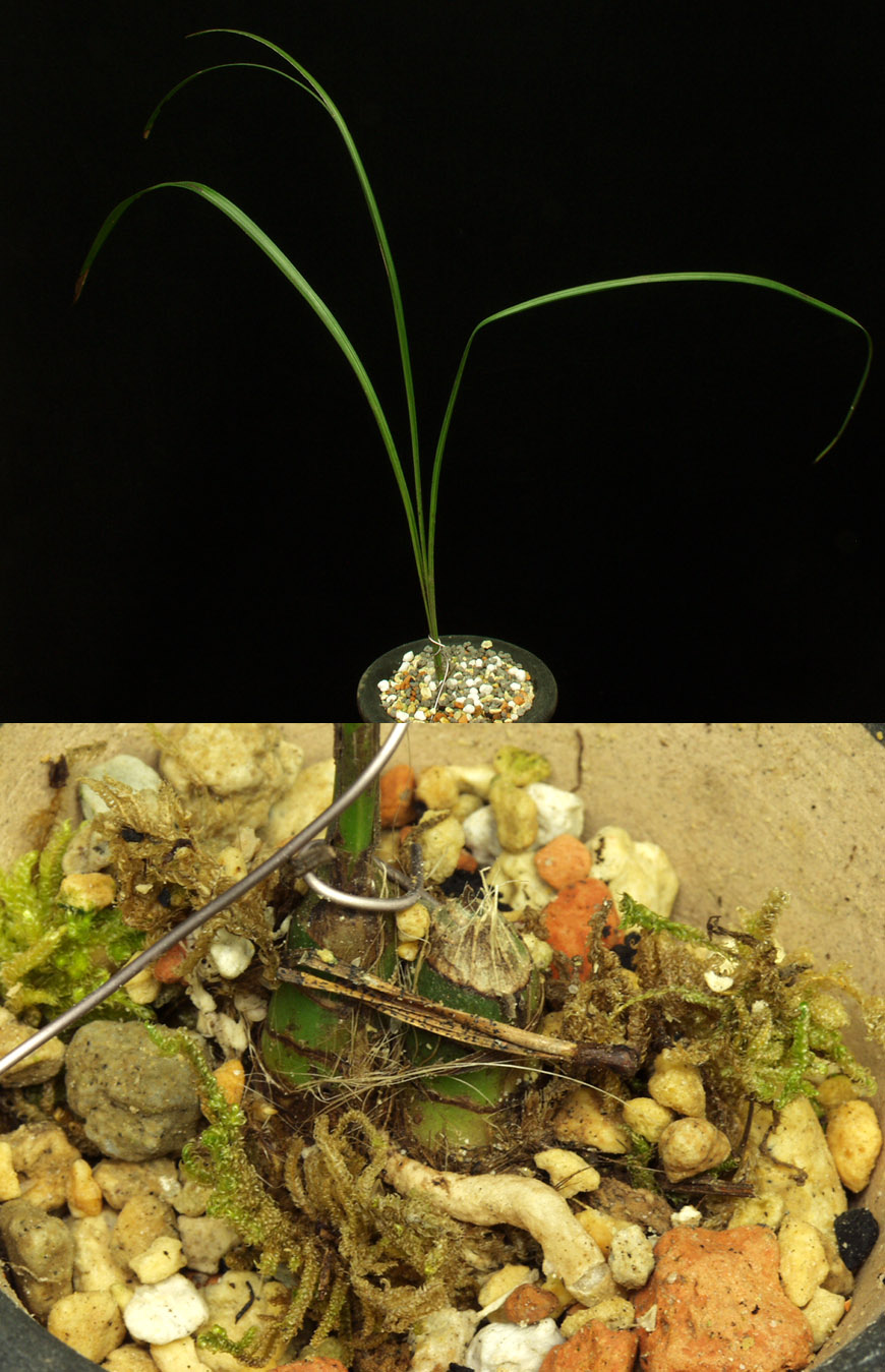 ������ ū������ �� �� �ֽ��ϴ�.