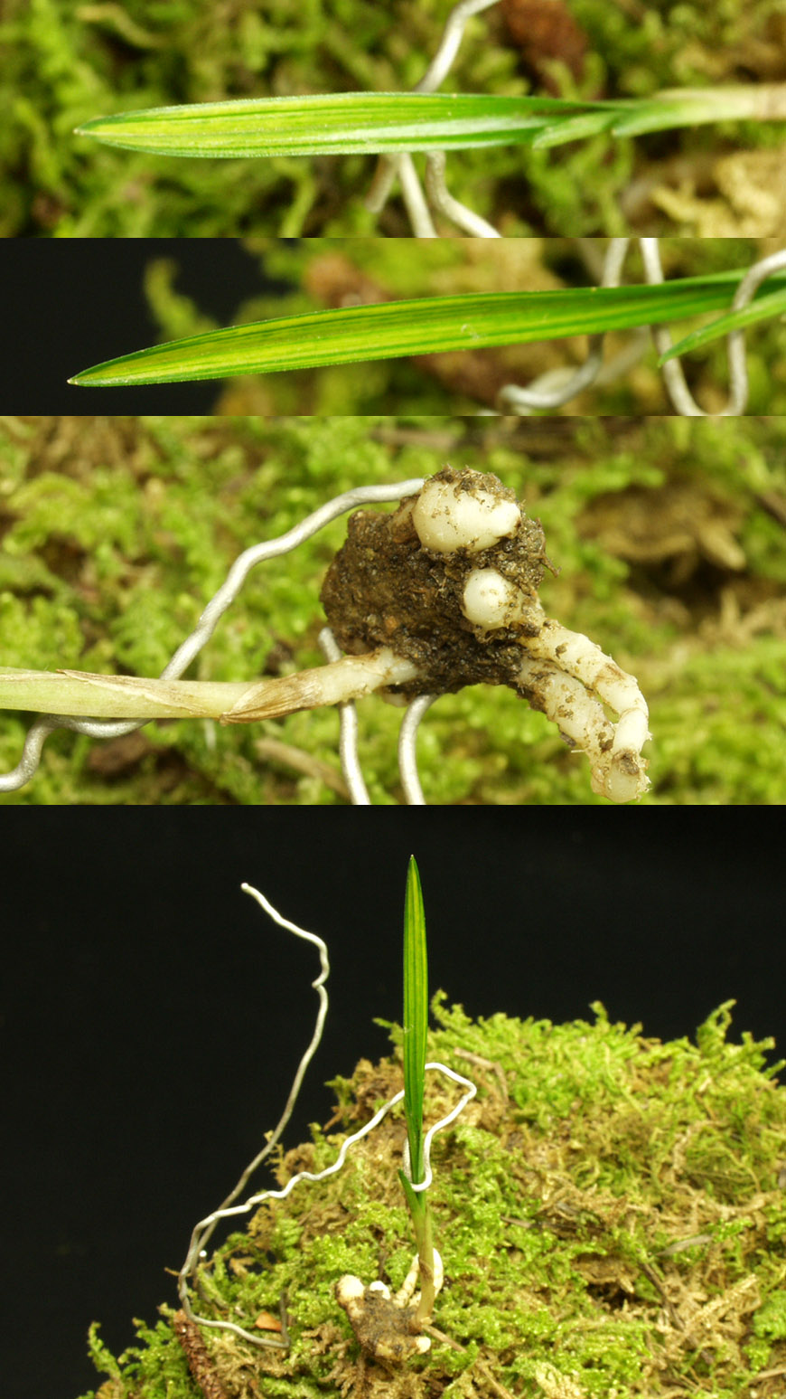 ������ ū������ �� �� �ֽ��ϴ�.