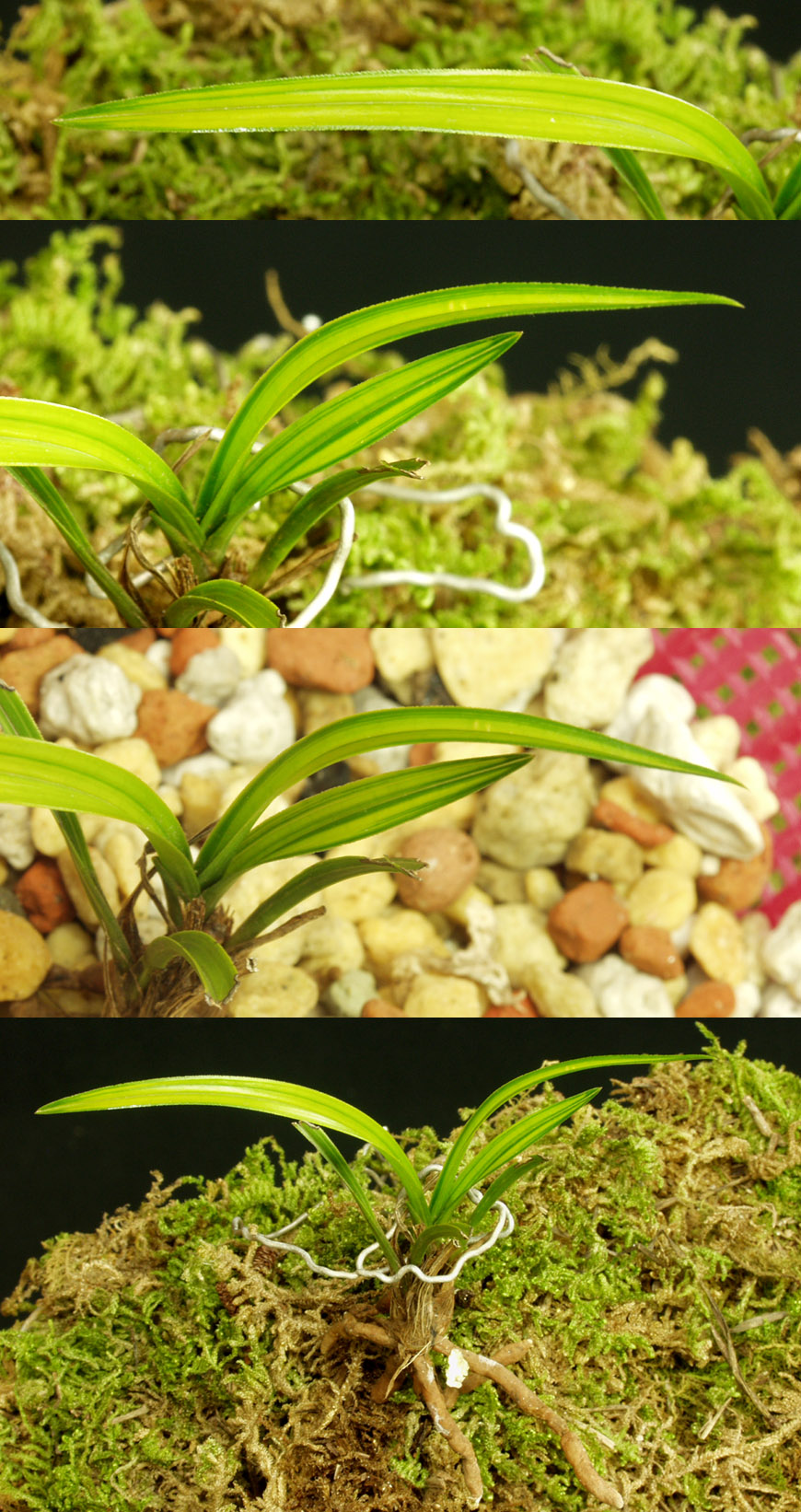 ������ ū������ �� �� �ֽ��ϴ�.