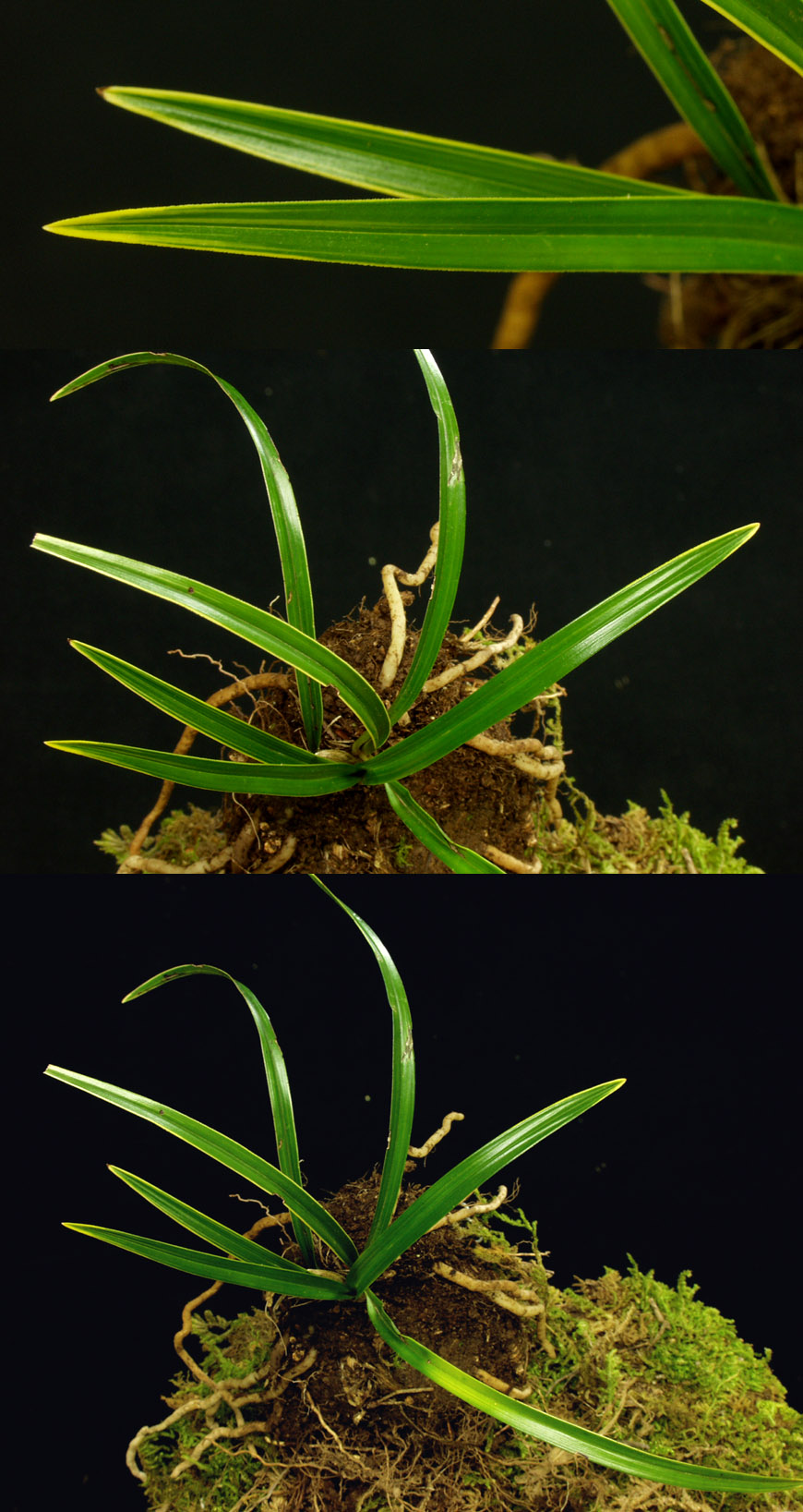 ������ ū������ �� �� �ֽ��ϴ�.