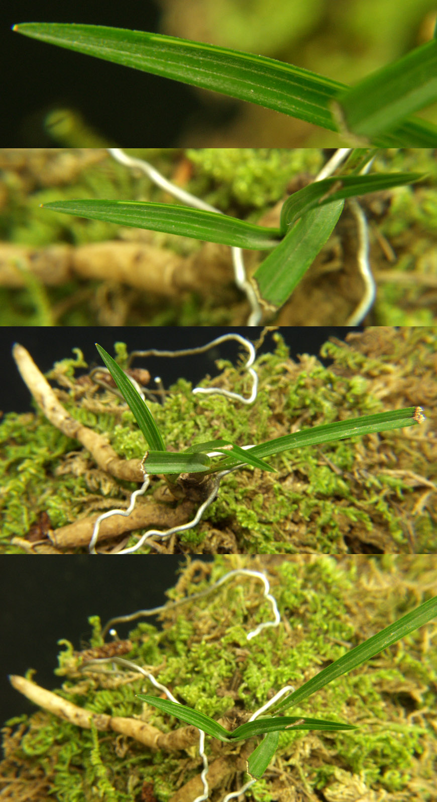 ������ ū������ �� �� �ֽ��ϴ�.