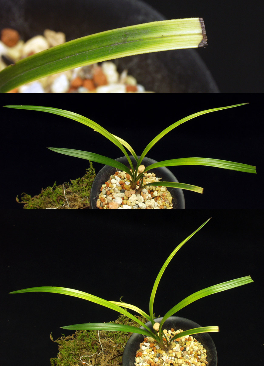 ������ ū������ �� �� �ֽ��ϴ�.