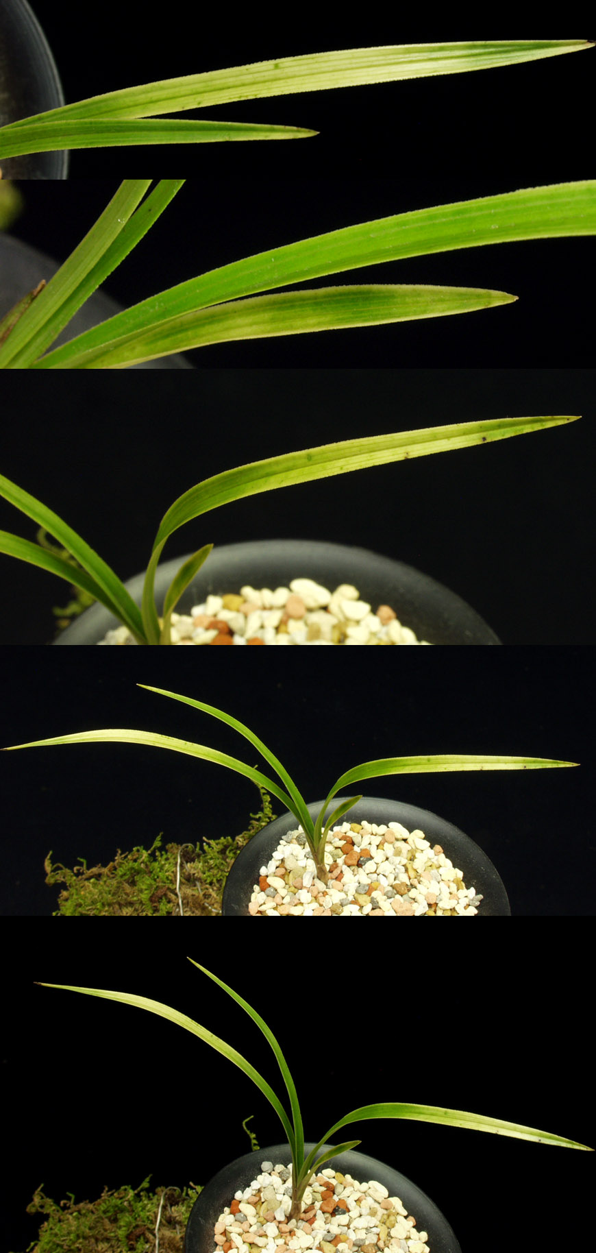 ������ ū������ �� �� �ֽ��ϴ�.