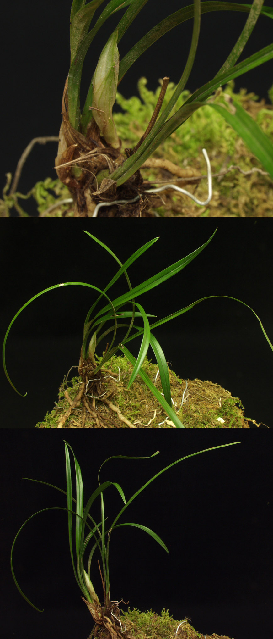 ������ ū������ �� �� �ֽ��ϴ�.