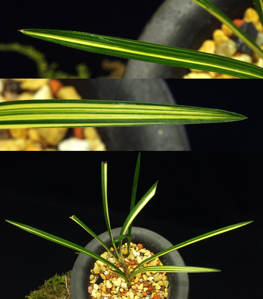 ������ ū������ �� �� �ֽ��ϴ�.