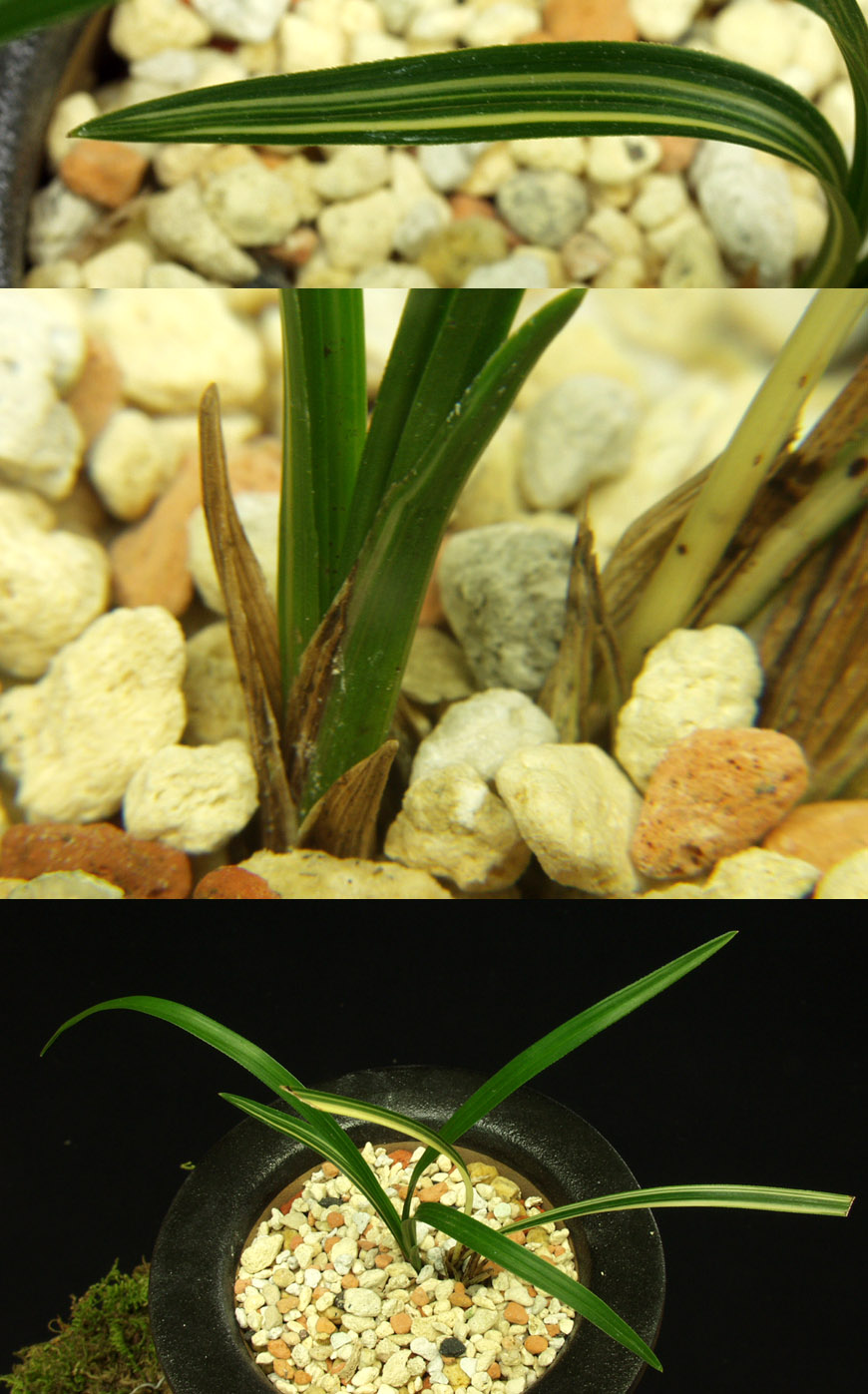 ������ ū������ �� �� �ֽ��ϴ�.