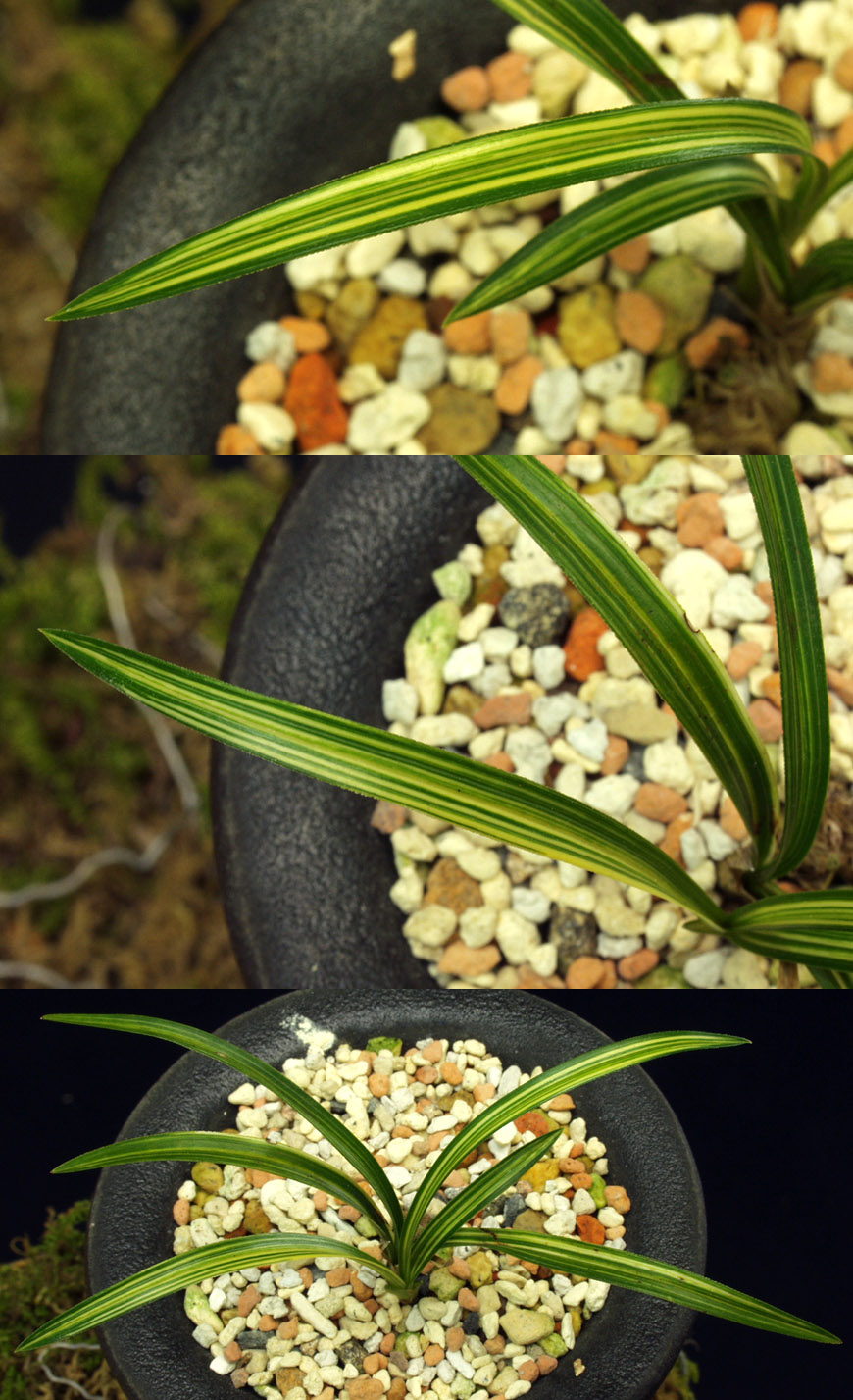 ������ ū������ �� �� �ֽ��ϴ�.