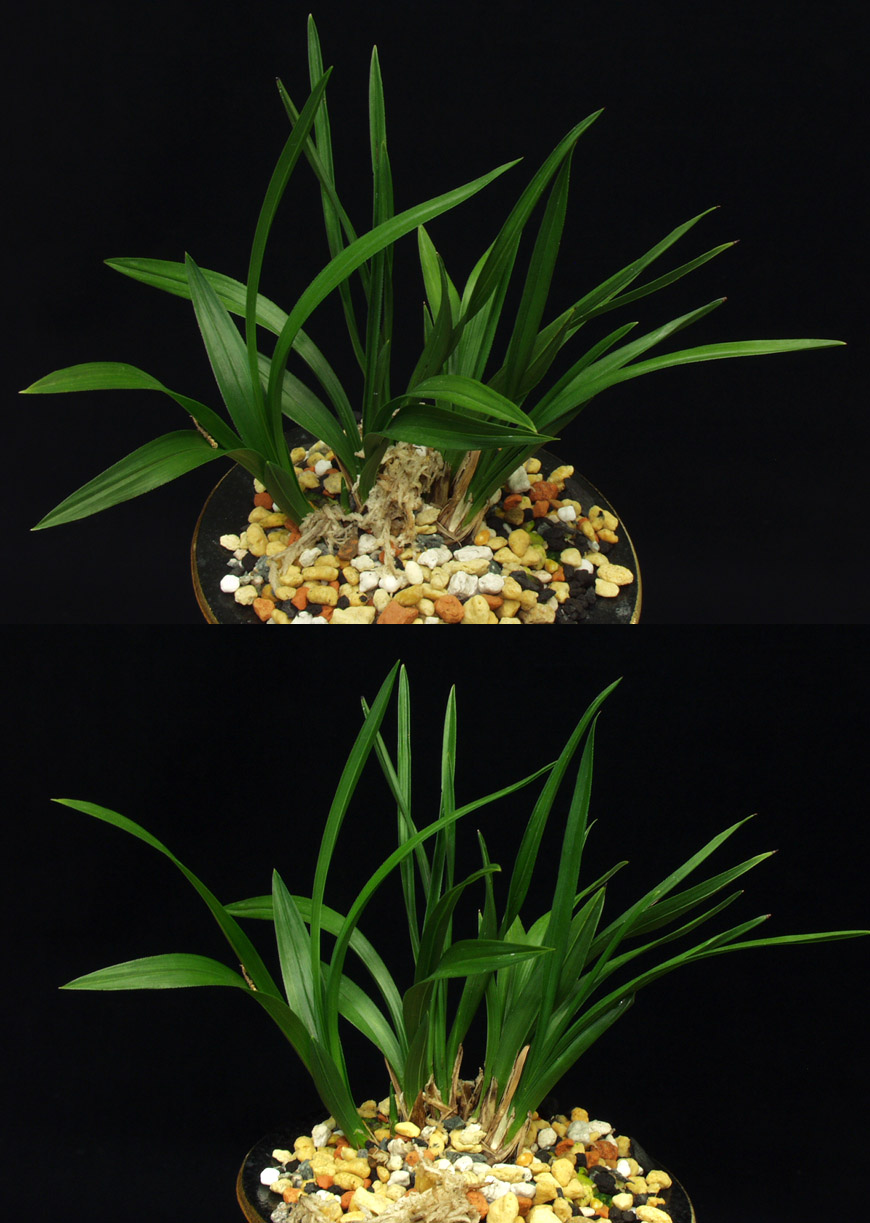 ������ ū������ �� �� �ֽ��ϴ�.