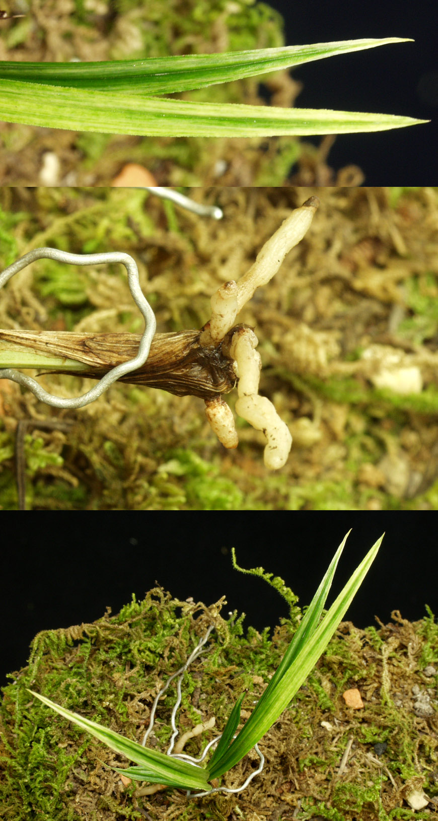 ������ ū������ �� �� �ֽ��ϴ�.