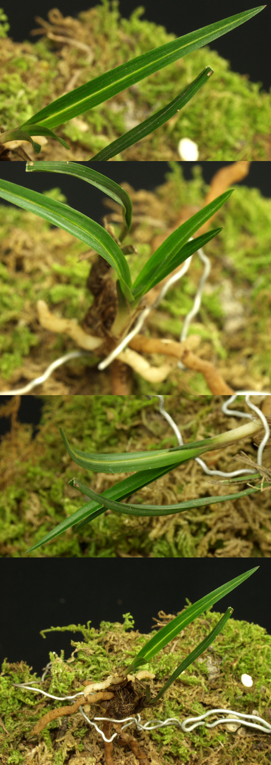 ������ ū������ �� �� �ֽ��ϴ�.