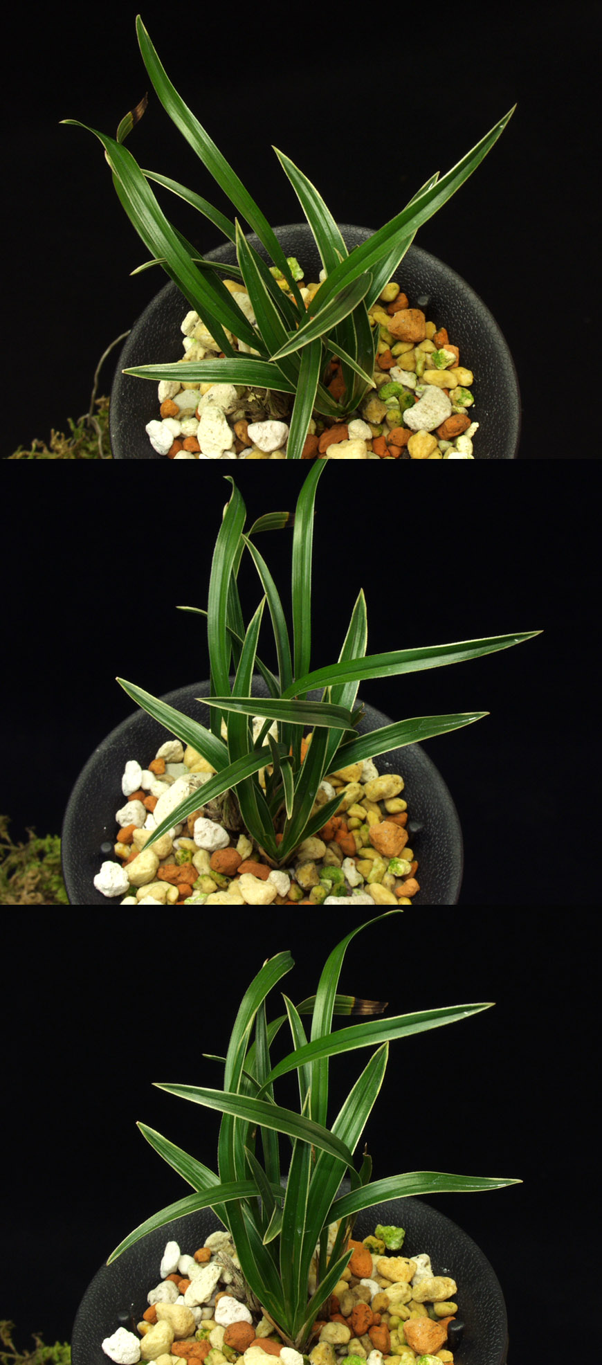 ������ ū������ �� �� �ֽ��ϴ�.