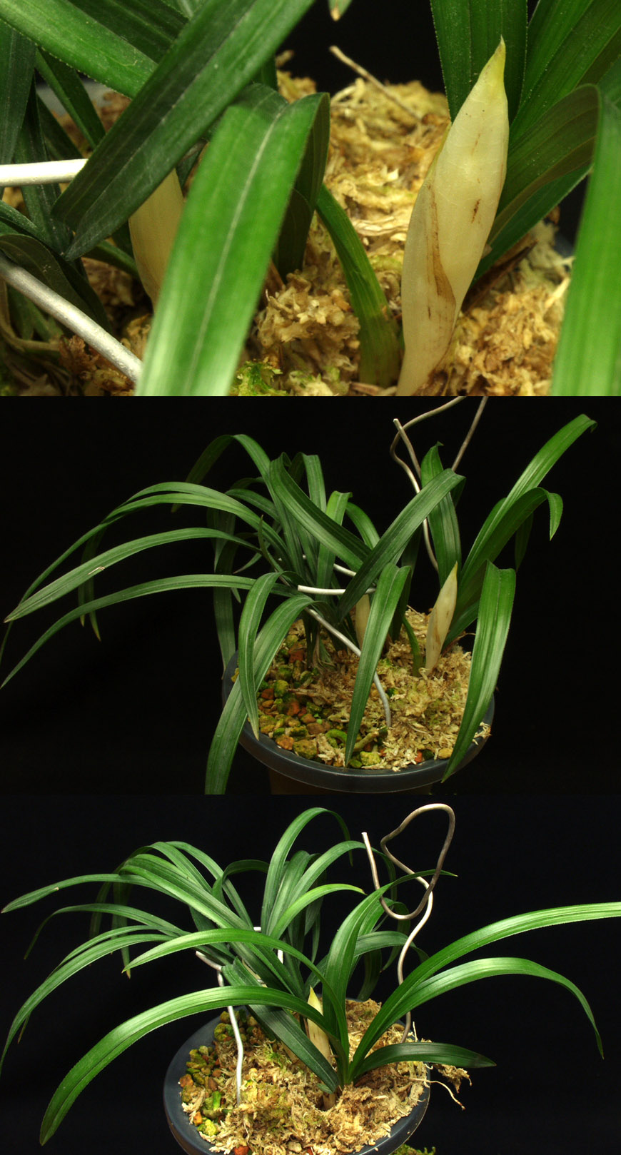 ������ ū������ �� �� �ֽ��ϴ�.