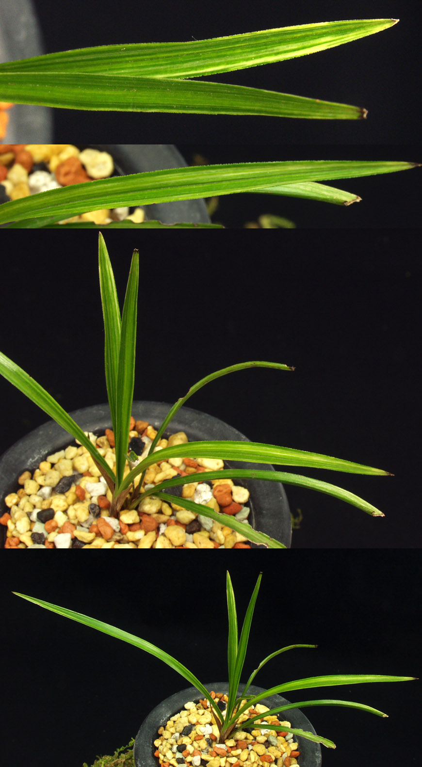 ������ ū������ �� �� �ֽ��ϴ�.