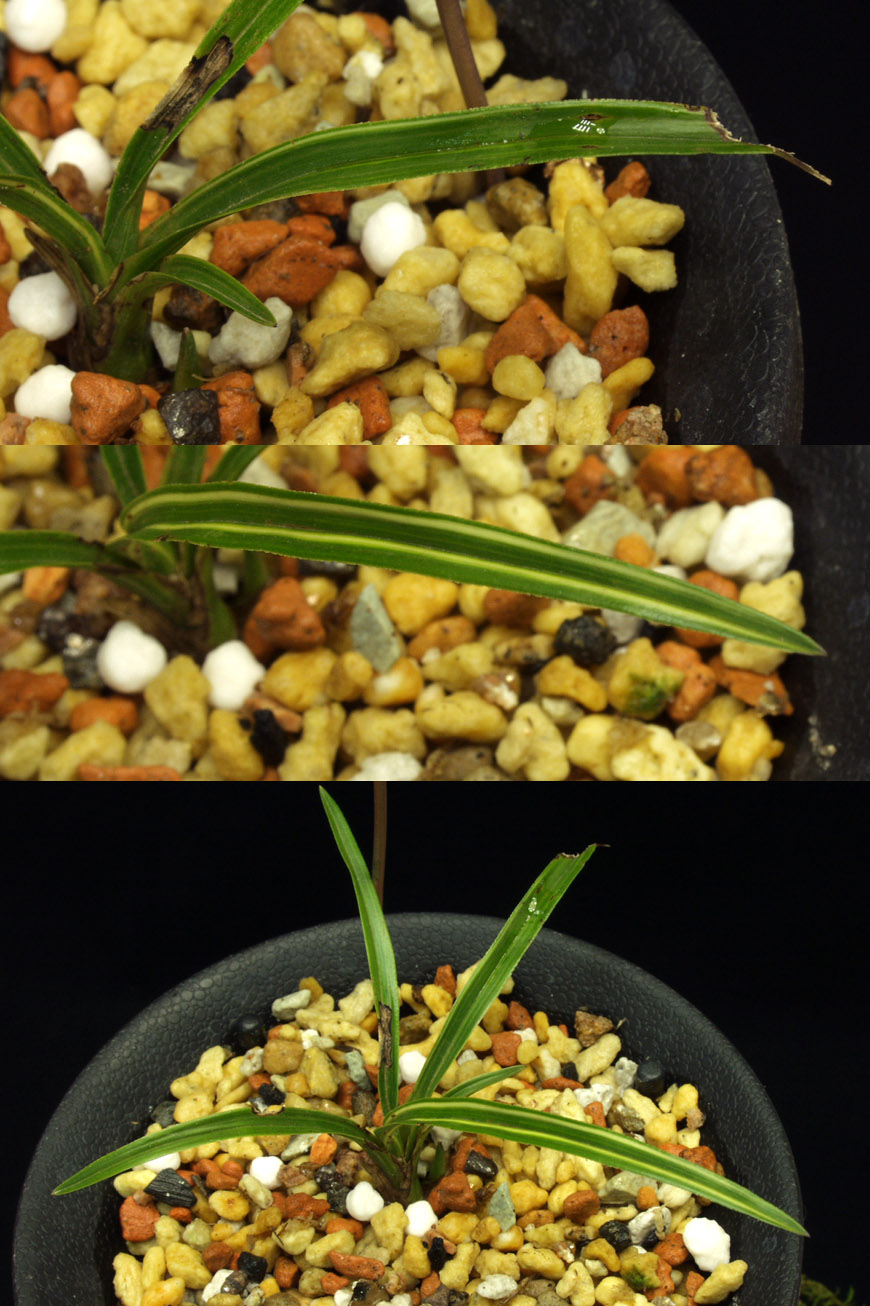 ������ ū������ �� �� �ֽ��ϴ�.