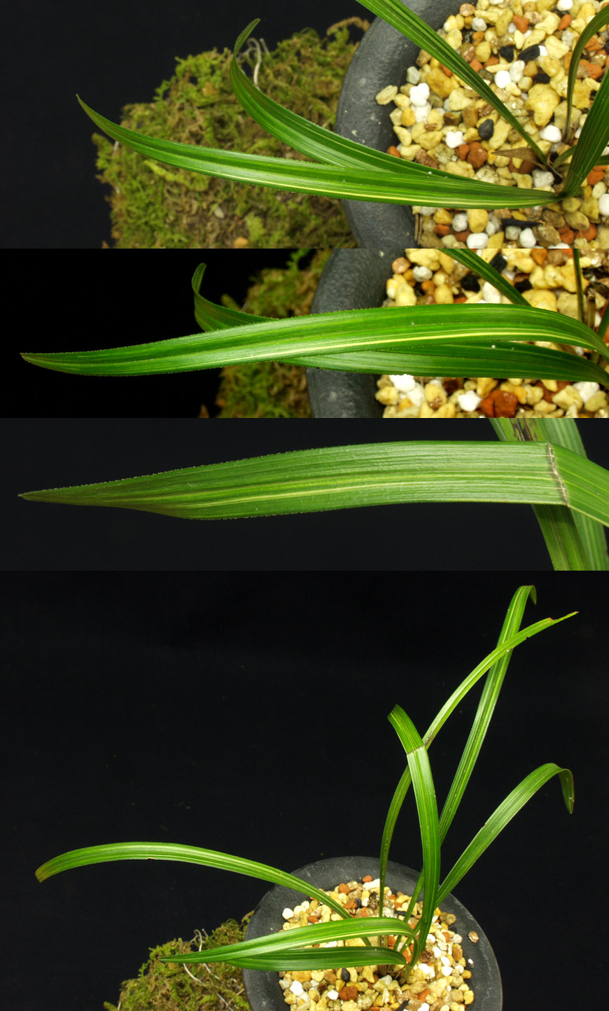 ������ ū������ �� �� �ֽ��ϴ�.