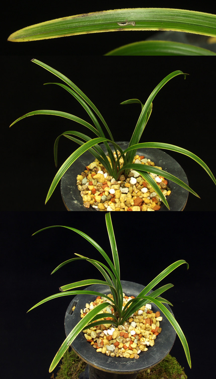 ������ ū������ �� �� �ֽ��ϴ�.