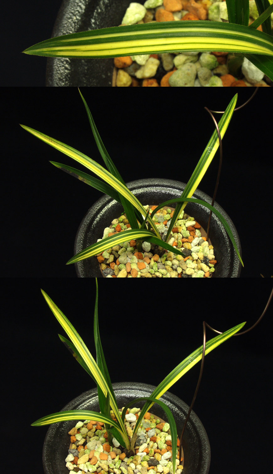 ������ ū������ �� �� �ֽ��ϴ�.