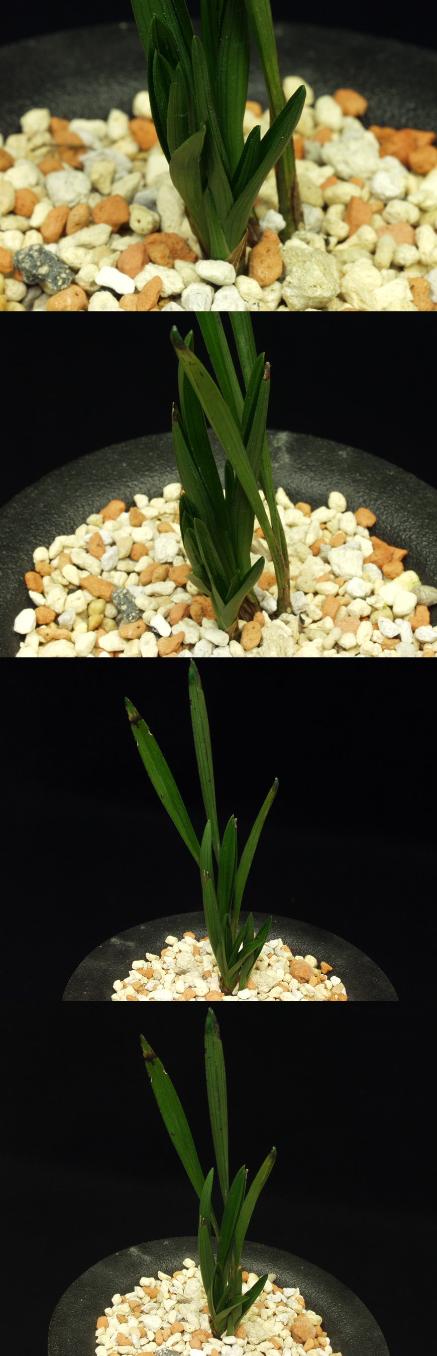 ������ ū������ �� �� �ֽ��ϴ�.