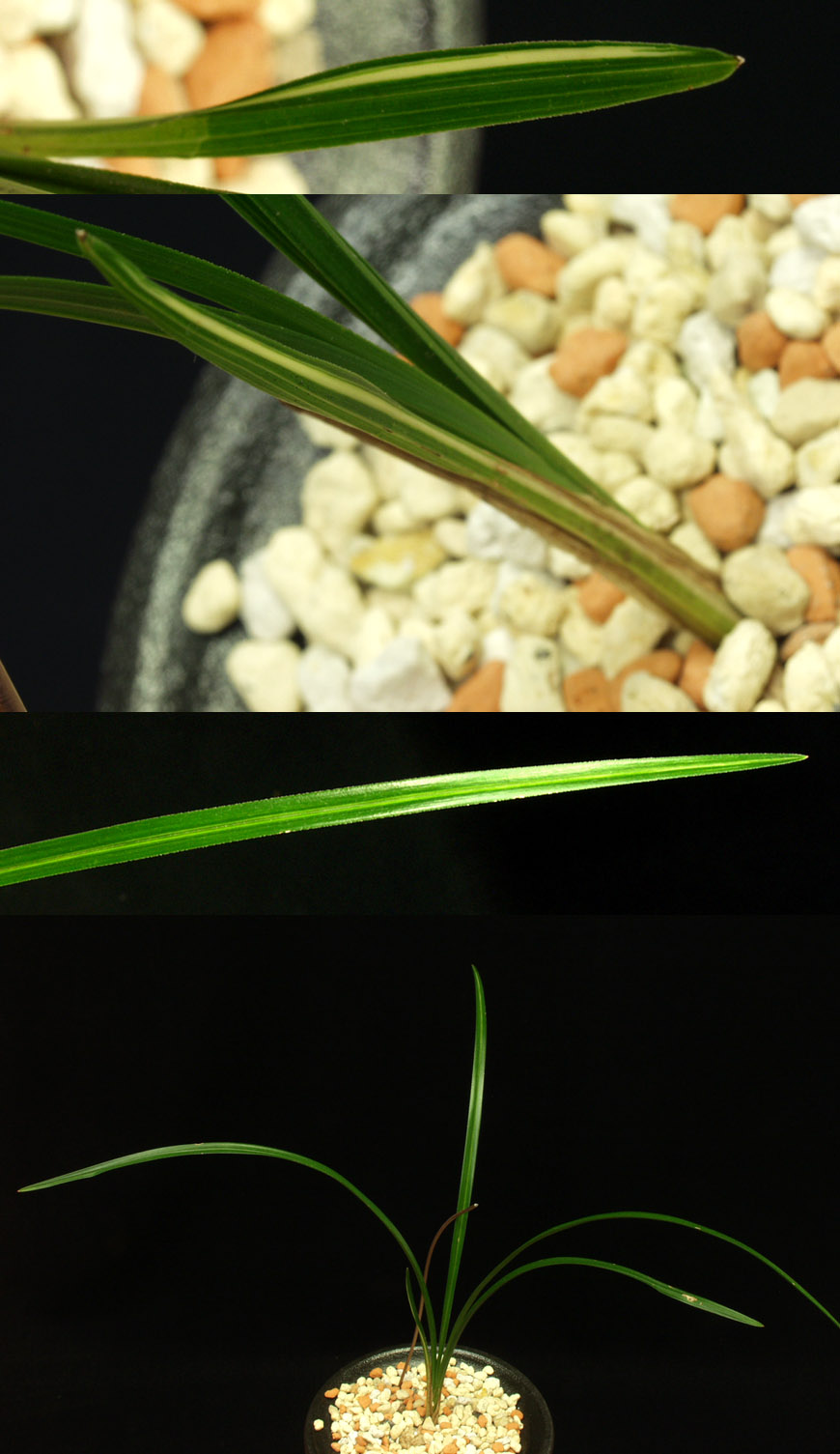 ������ ū������ �� �� �ֽ��ϴ�.