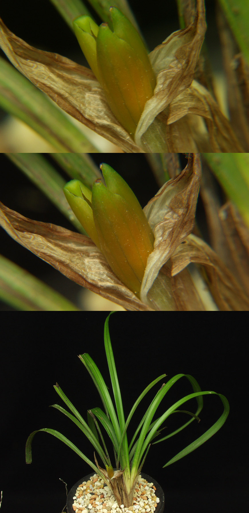 ������ ū������ �� �� �ֽ��ϴ�.