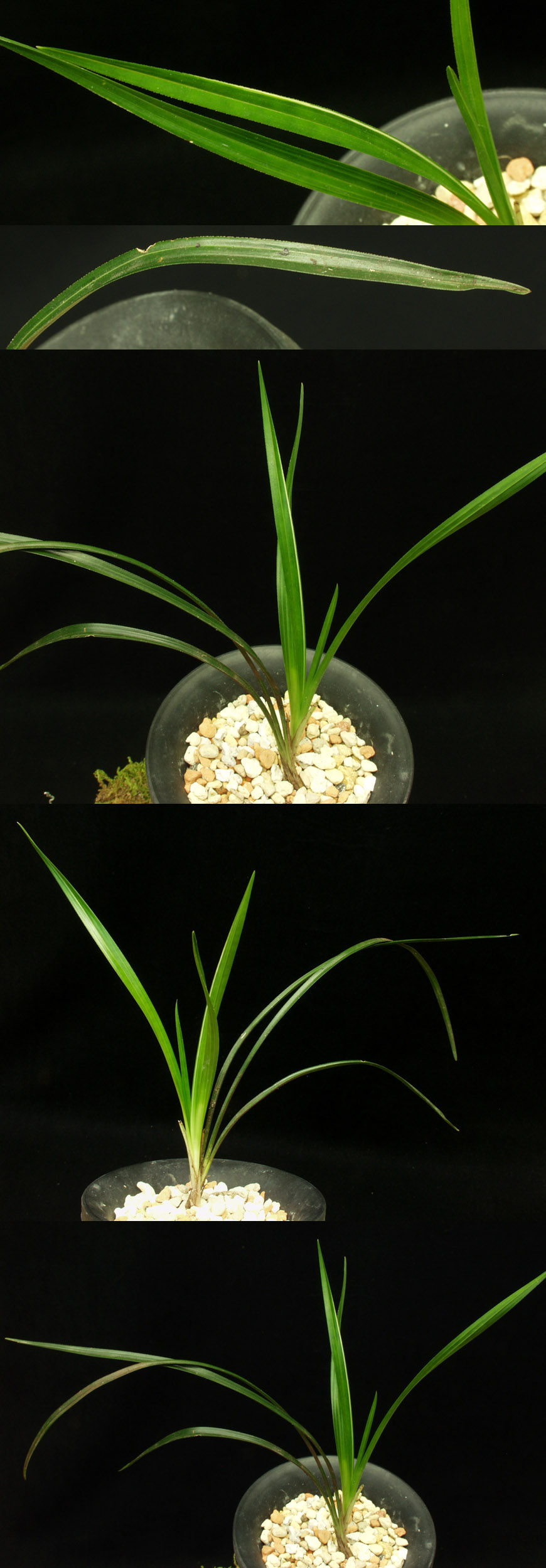 ������ ū������ �� �� �ֽ��ϴ�.