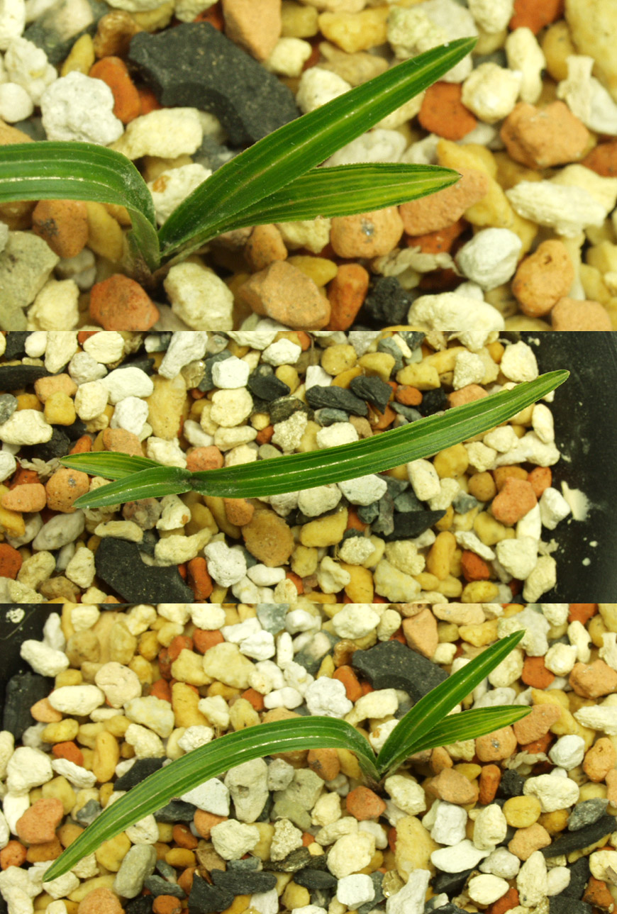 ������ ū������ �� �� �ֽ��ϴ�.