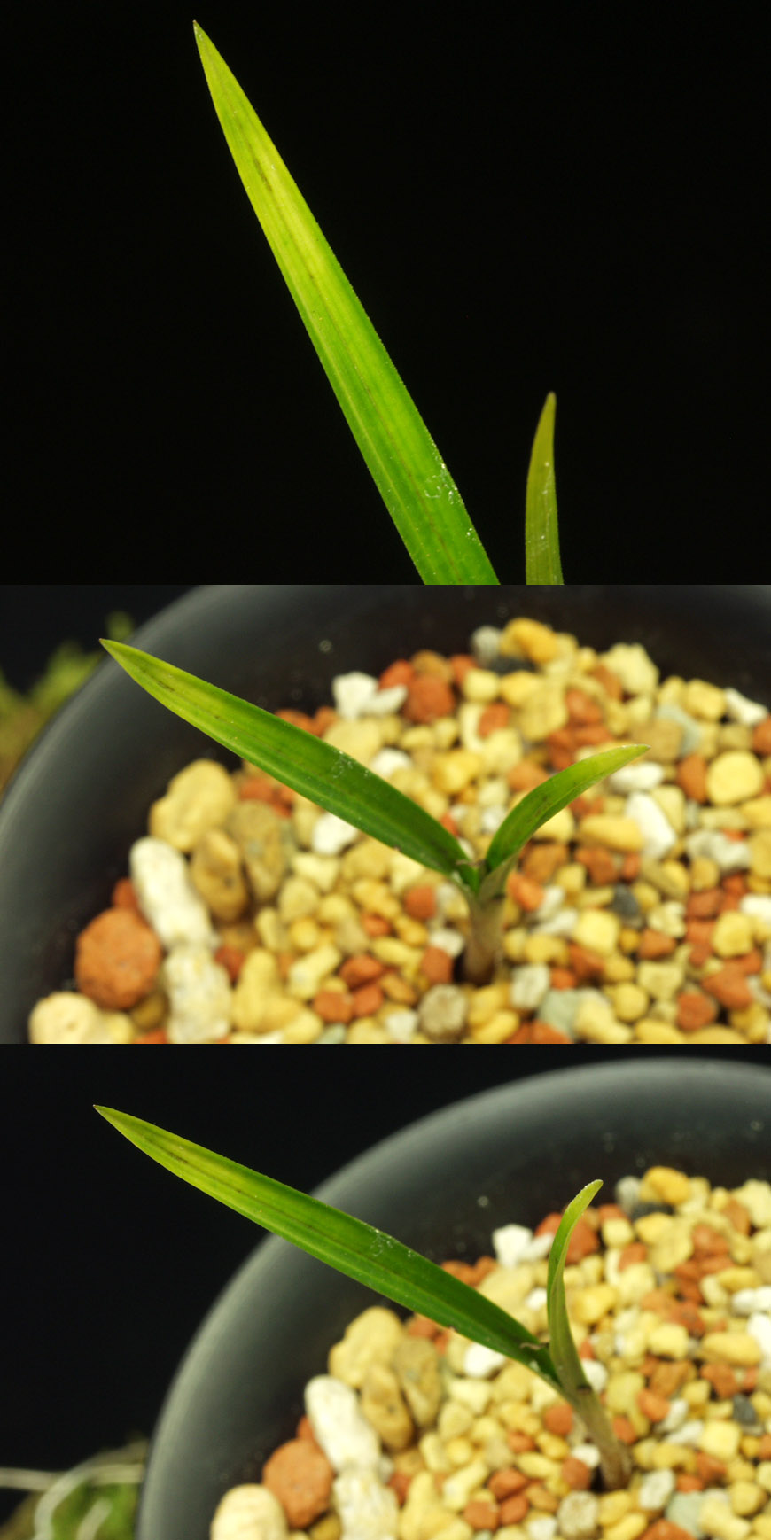 ������ ū������ �� �� �ֽ��ϴ�.