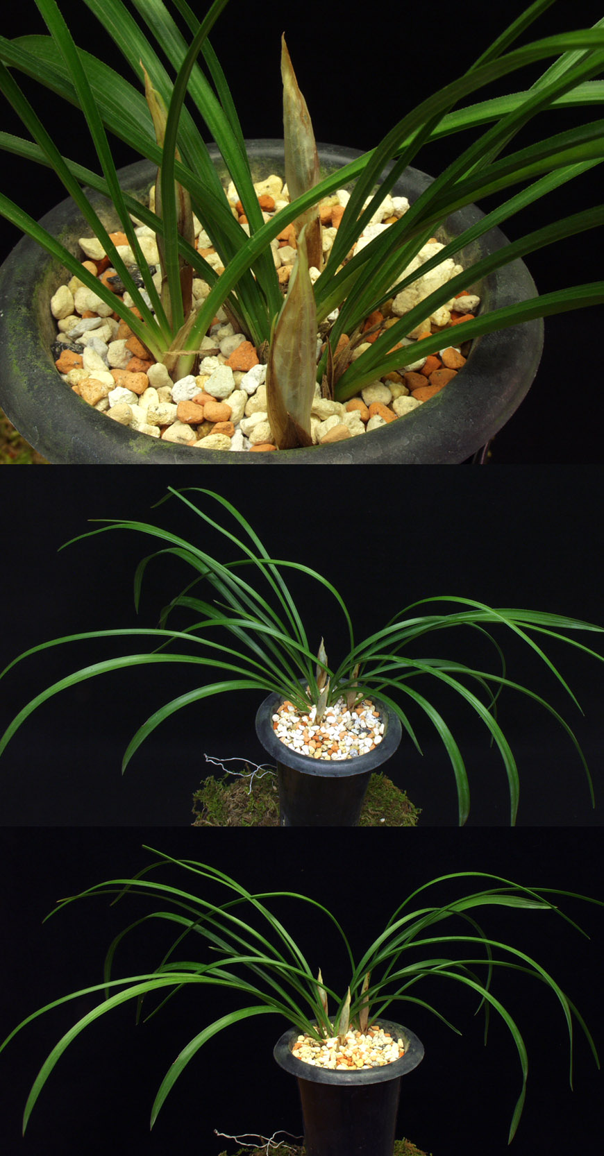 ������ ū������ �� �� �ֽ��ϴ�.