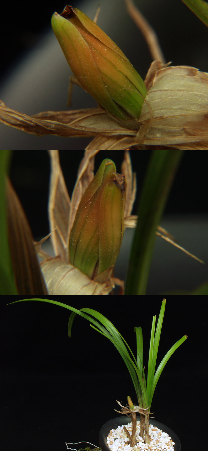 ������ ū������ �� �� �ֽ��ϴ�.